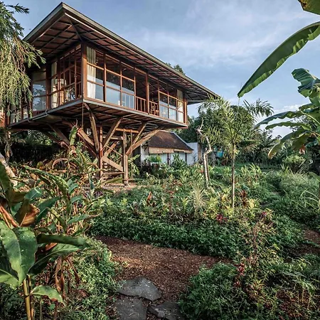 Gruen Ubud Bagian luar foto